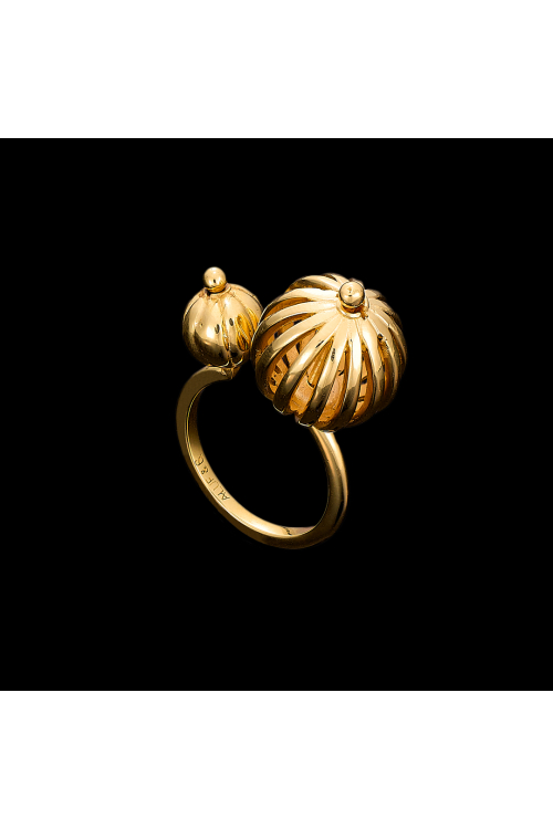 ANEL MALABARES DUO DOURADO